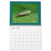 Mural Calendrier - Beaux bugs (Mar 2026)