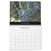 Mural Calendrier Beaux oiseaux #1 (Feb 2027)
