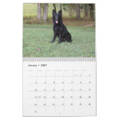 Mural Calendrier berger allemand (Jan 2027)