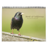 Mural Calendrier Birds of California 2010 (Protection)