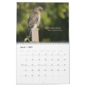 Mural Calendrier Birds of California 2010 (Mar 2027)