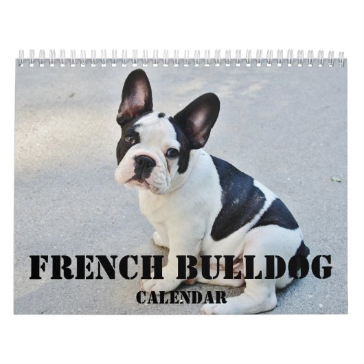Mural Calendrier Bulldog 2026 avec vos photos (Protection)