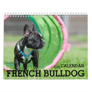 Mural Calendrier Bulldog Français 2026