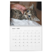 Mural Calendrier célèbre de Mannois de miracle (Mar 2027)