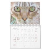 Mural Calendrier - Chats (Feb 2027)
