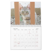Mural Calendrier - Chats (Jan 2026)