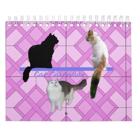 Mural Calendrier - Chats (Protection)