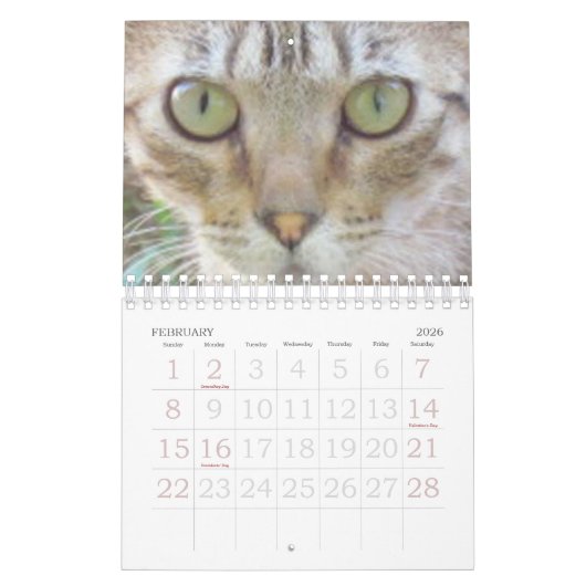 Mural Calendrier - Chats (Feb 2026)