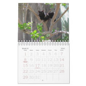 Mural Calendrier - Chats (Mar 2026)