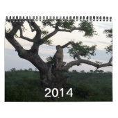 Mural Calendrier Cheetah 2014 (Protection)