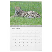 Mural Calendrier Cheetah 2014 (Mar 2027)