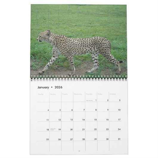 Mural Calendrier Cheetah 2014 (Jan 2026)