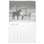 Mural Calendrier Cheval 2017 (Jan 2027)