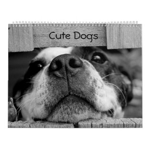 Mural Calendrier Chiens mignons