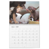 Mural Calendrier Chihuahua 2026 (Mar 2027)