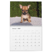 Mural Calendrier Chihuahua 2026 (Jan 2027)