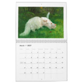 Mural Calendrier classique du chat 2018 (Mar 2027)