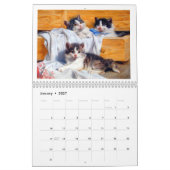 Mural Calendrier classique du chat 2018 (Jan 2027)