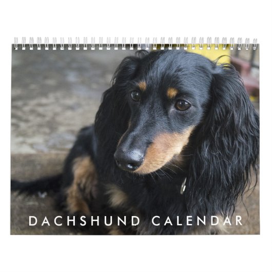 Mural Calendrier Dachshund 2016 (Protection)