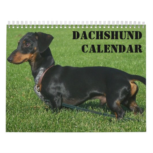 Mural Calendrier Dachshund Avec Vos Photos (Protection)