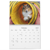 Mural Calendrier d'agilité Shetland Sheepdog (Feb 2027)