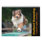 Mural Calendrier d'agilité Shetland Sheepdog (Protection)