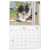 Mural Calendrier d'agilité Shetland Sheepdog (Mar 2027)