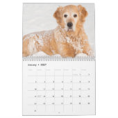 Mural Calendrier d'amants de golden retriever (Jan 2027)