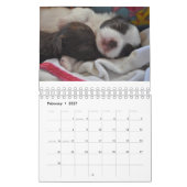 Mural Calendrier d'amour de chiwawa (Feb 2027)