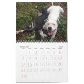 Mural Calendrier d'amour Pitbull (Feb 2027)