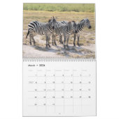 Mural Calendrier d'amour Zebra 2021 (Mar 2026)