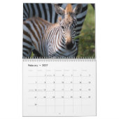 Mural Calendrier d'amour Zebra 2021 (Feb 2027)