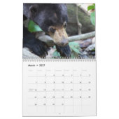 Mural Calendrier d'animaux de forêt tropicale du Bornéo (Mar 2027)