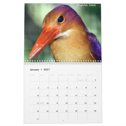 Mural Calendrier d'animaux de forêt tropicale du Bornéo (Jan 2027)