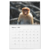 Mural Calendrier d'animaux de forêt tropicale du Bornéo (Feb 2027)