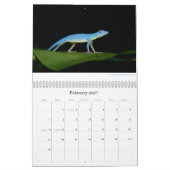 Mural Calendrier d'Anoles 2013 (Feb 2027)