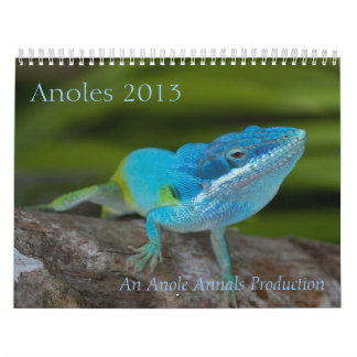 Mural Calendrier d'Anoles 2013