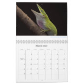 Mural Calendrier d'Anoles 2013 (Mar 2026)