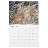 Mural Calendrier DavesGarden.com 2011 (Mar 2027)