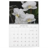 Mural Calendrier de 12 mois (Jan 2027)