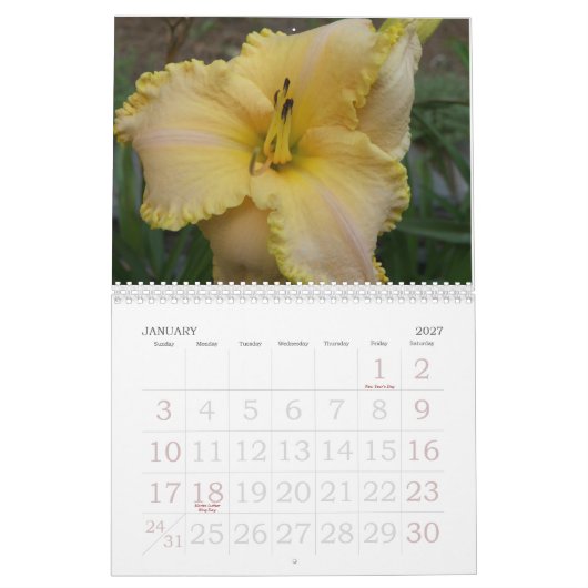 Mural Calendrier de 2008 Daylilies - customisé (Jan 2027)