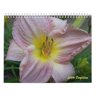 Mural Calendrier de 2008 Daylilies - customisé