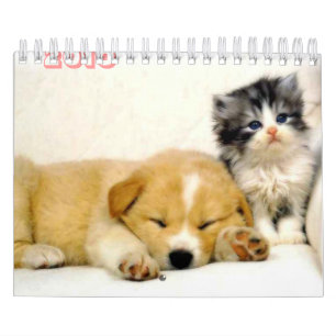 Mural calendrier de 2010 animaux