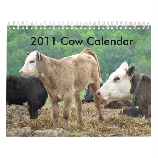 Mural Calendrier de 2011 vaches (Protection)