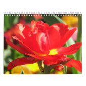 Mural Calendrier de 2012 fleurs (Protection)