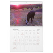 Mural Calendrier de 2013 vaches (Feb 2027)