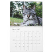 Mural Calendrier de 2014 paillettes (Mar 2027)