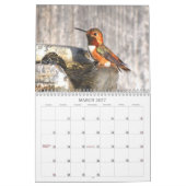 Mural Calendrier de 2015 colibris (Mar 2027)