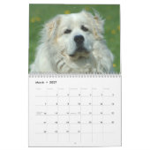 Mural Calendrier de 2015 Grands Pyrénées (Mar 2027)