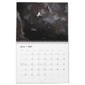 Mural Calendrier de battes (Mar 2027)